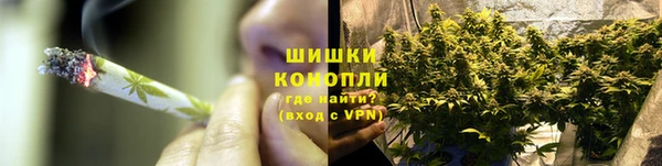 гидропоника Богданович