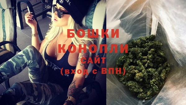 гидропоника Богданович