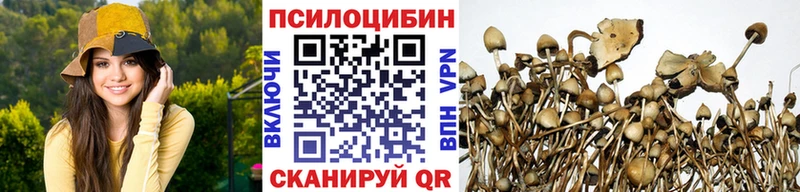 Галлюциногенные грибы прущие грибы  hydra зеркало  Борзя 